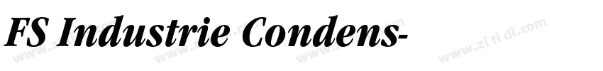 FS Industrie Condens字体转换